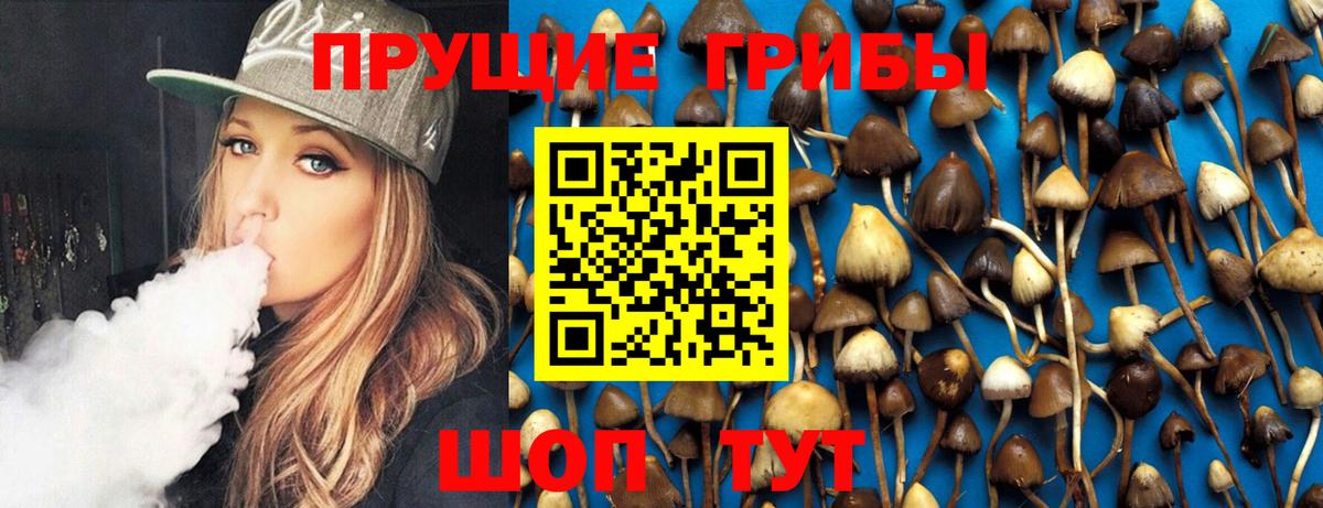 Каспийск  даркнет сайт  Вход с VPN  Псилоцибиновые грибы Magic Shrooms  Галлюциногенные грибы Psilocybe 