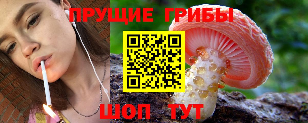 Псилоцибиновые грибы MAGIC MUSHROOMS Каспийск